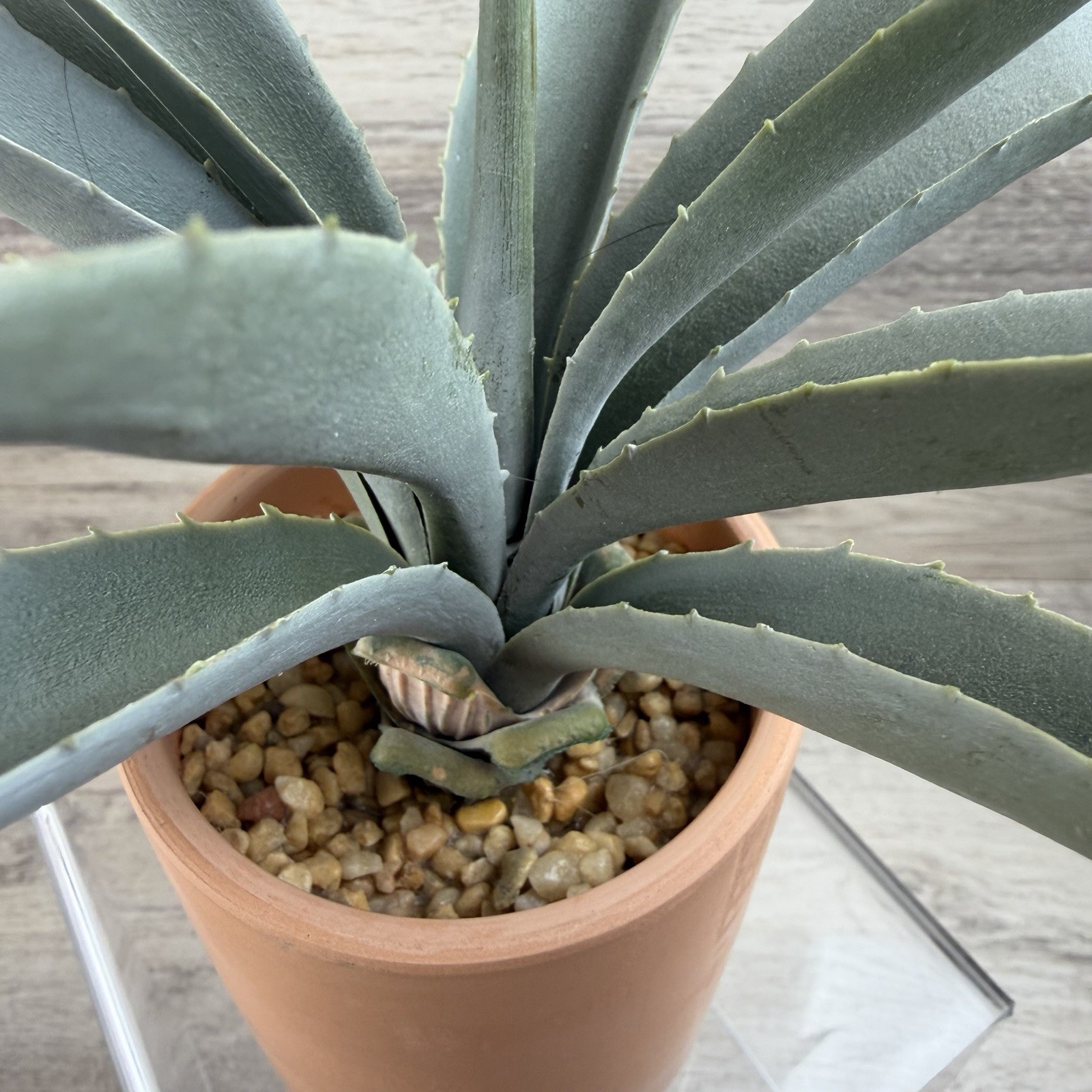 Artificial Faux Fake Blue Agave Plant in Terracotta Pot Desert Bohemian 8” Tall