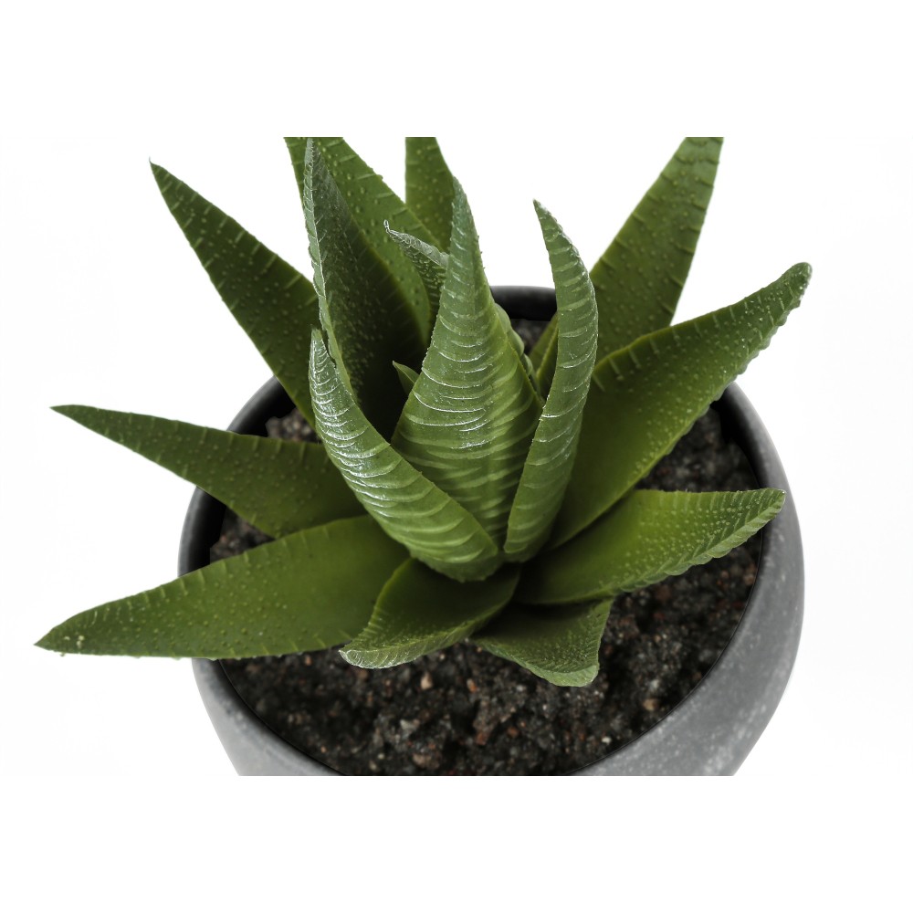 3Pcs 6in Faux Succulent Plants Grey Cement Pots Table Indoor Home Decor