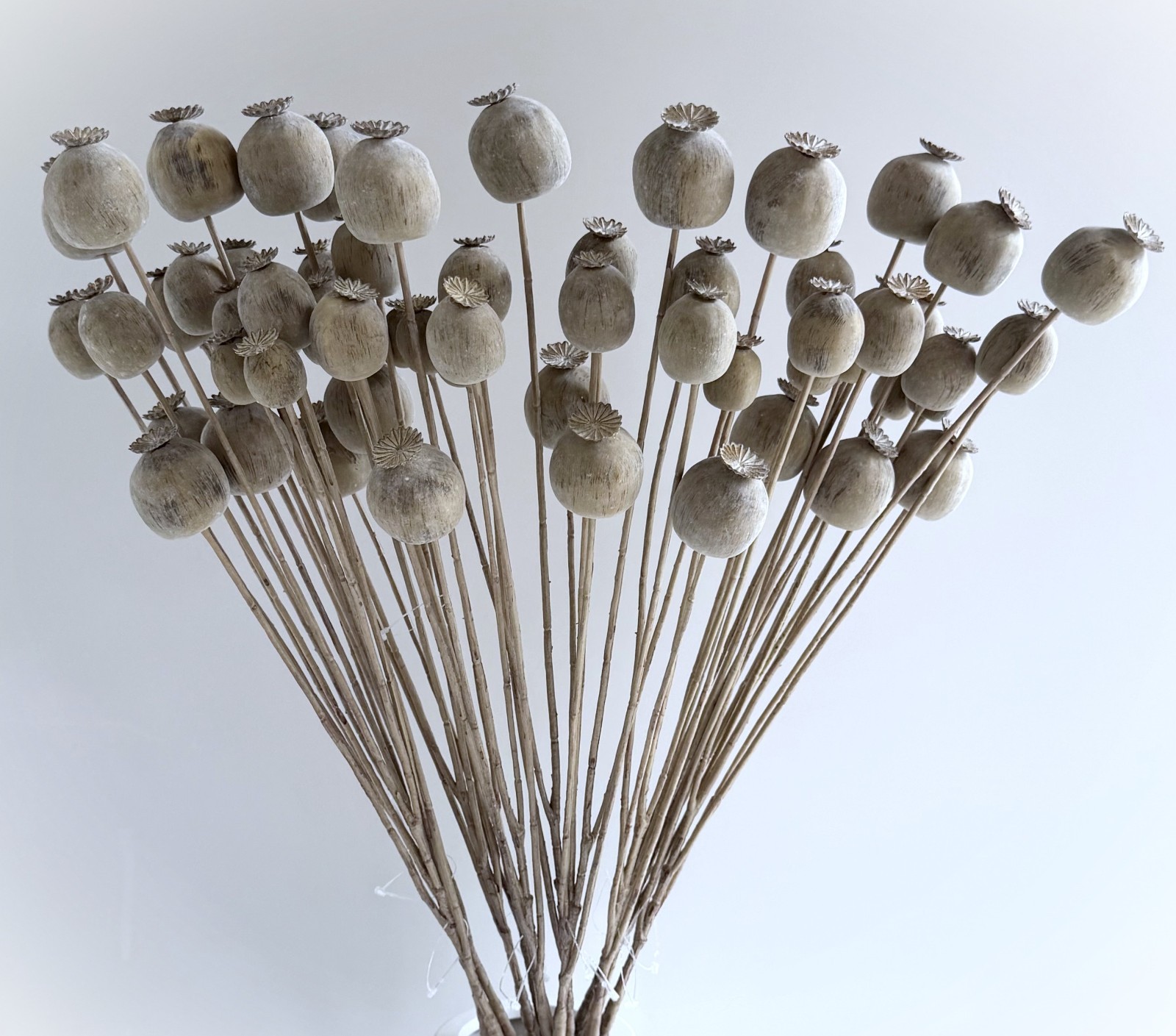 Dried Look Floral Stem Artificial Poppy Faux Stem Faux Flowers Brown
