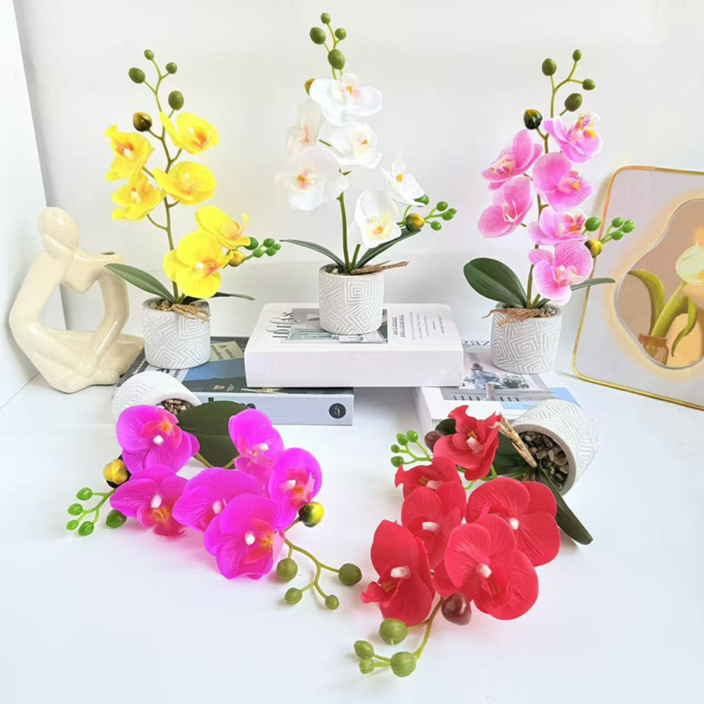 Fake Orchid Flower Plant in Cement Pot for Contemporary For Home Decoration