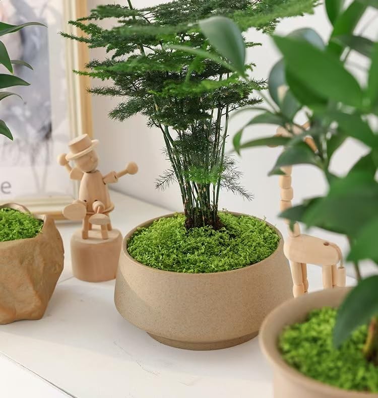 16 Oz Fresh Green Artificial Moss Crafts Decorative Faux Plant Floral Decor