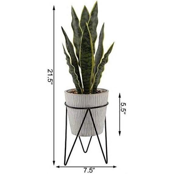 Artificial Plant 1.8 FT H Snake Plant In Gray Needle Cement In Black Metal Weld