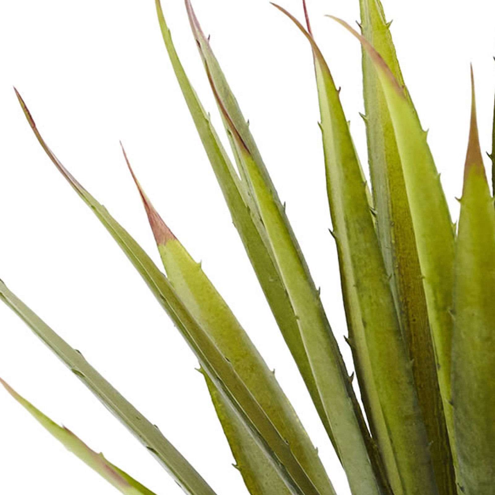 Nearly Natural 18″ Spiky Stand-Alone Agave Succulent Plant in Green (Set of 2)