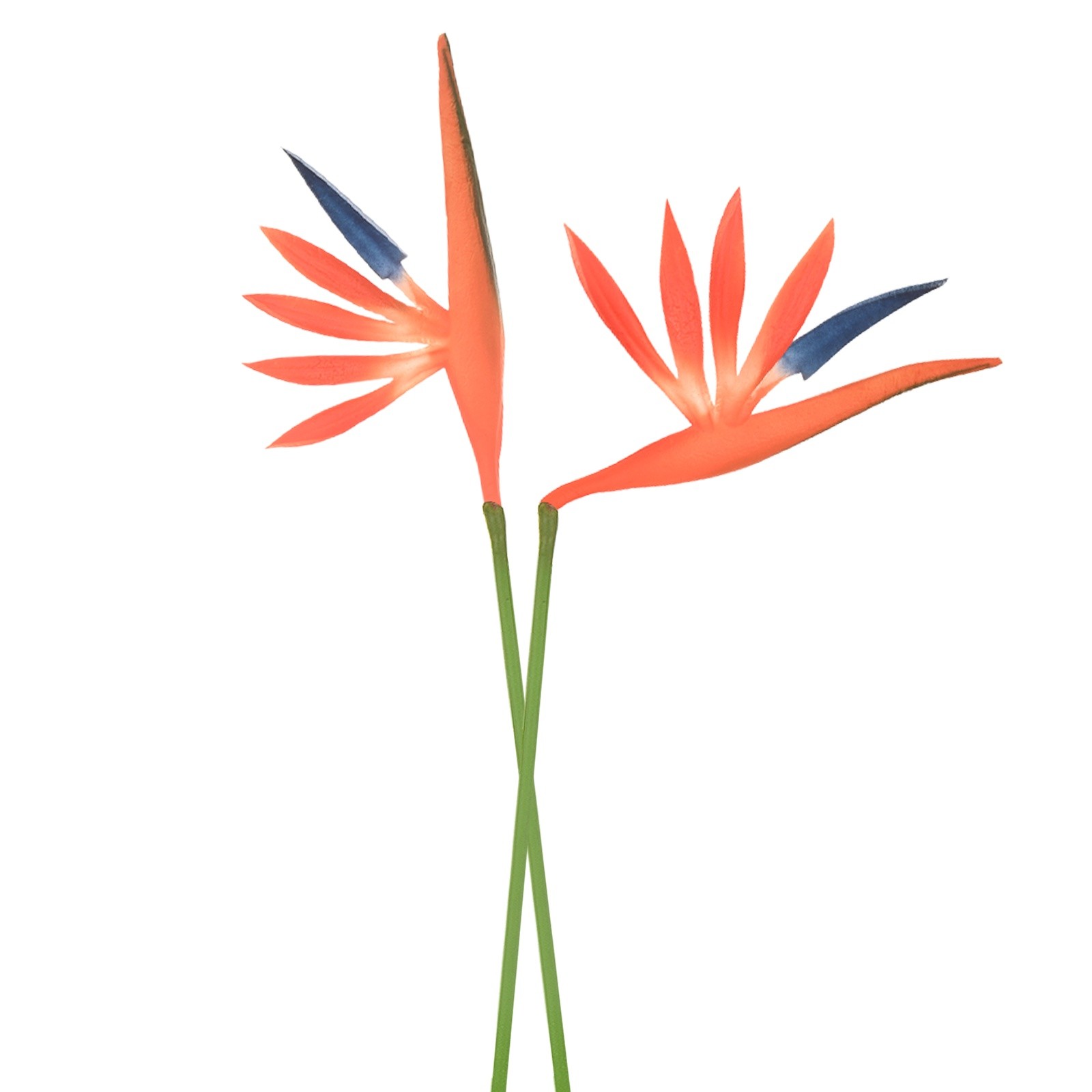 2-Pack Artificial Bird of Paradise Flowers 22 Inch for Home [Orange]