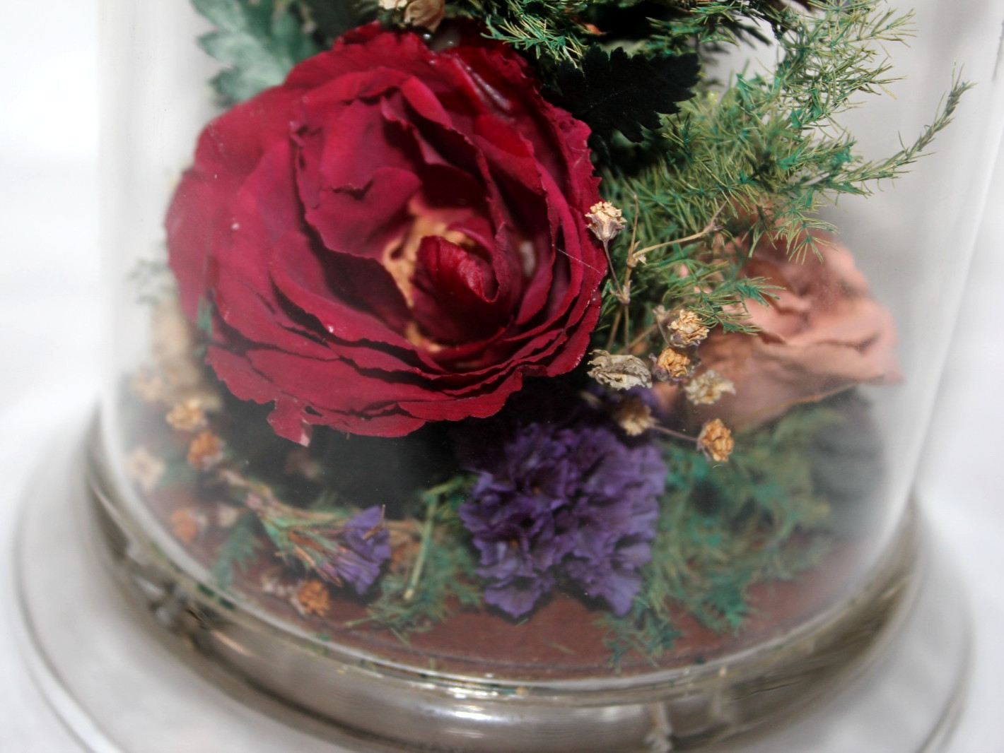 Natural Expressions – Real Freeze-Dried Rose Floral Arrangement in 8″ Glass Dome
