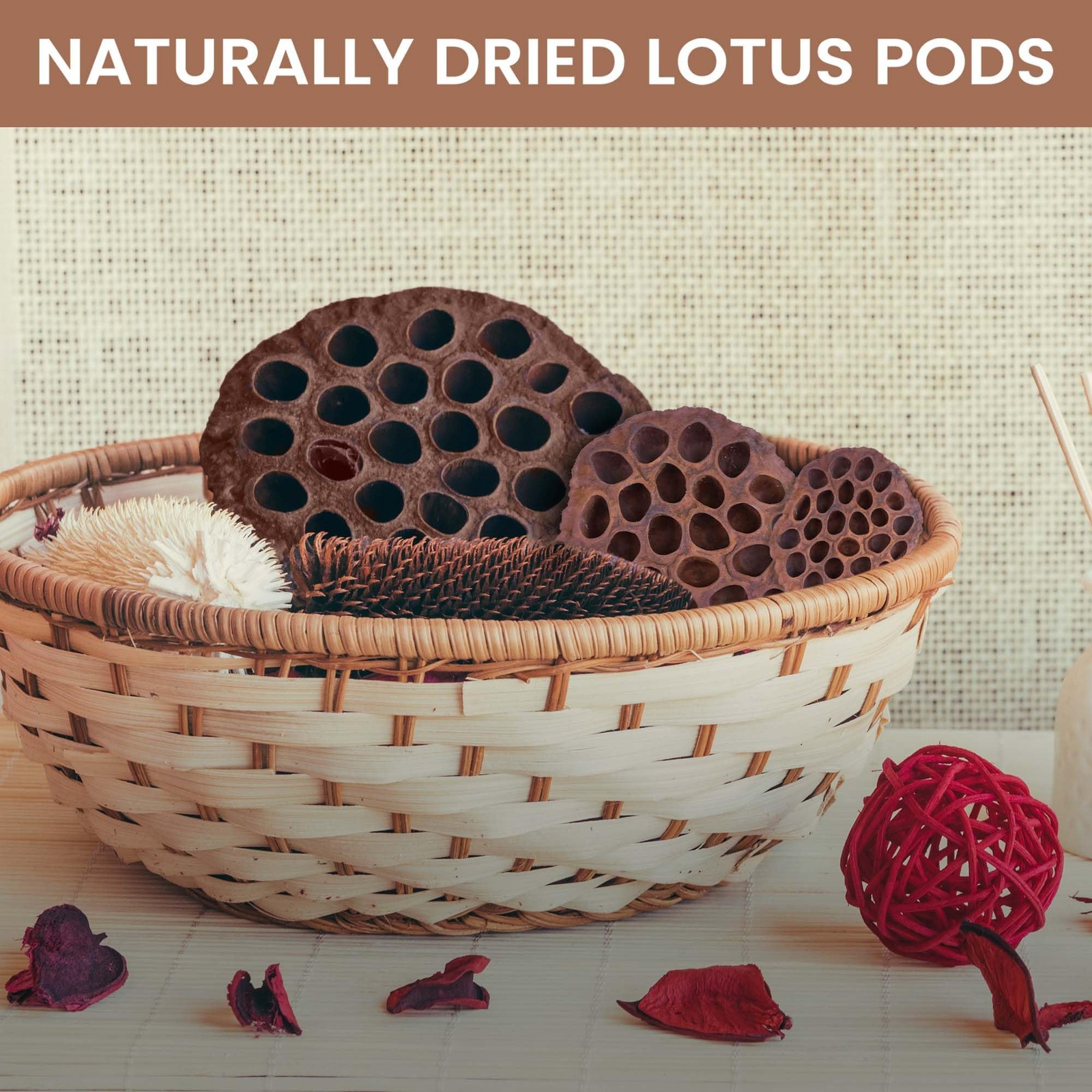 Dried Lotus Pods Pack of 25 Pods for Floral Arrangement and Home Decor,Natura…
