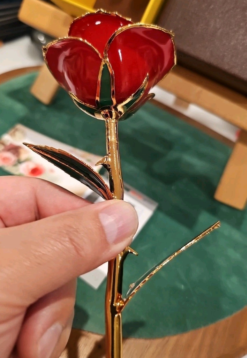 24K Gold Dipped Long Stem Real Rose in Gift Box – Perfect gift for any occasion!