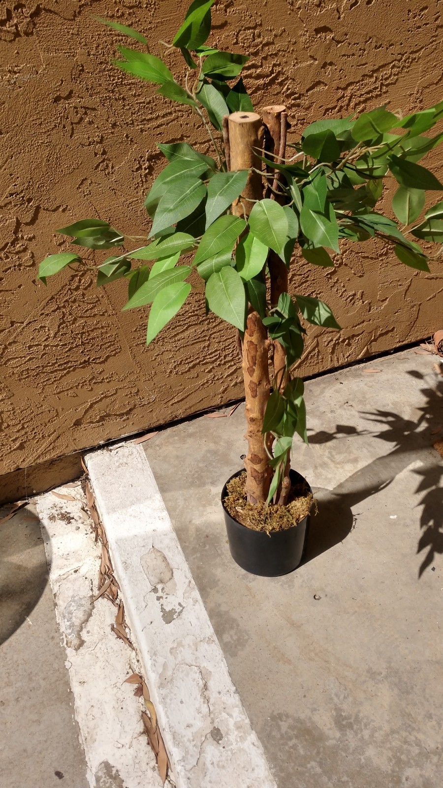 Pre-owned 6′ Artificial Ficus Tree, 2-Piece, Simple Piecing/Separation- Good
