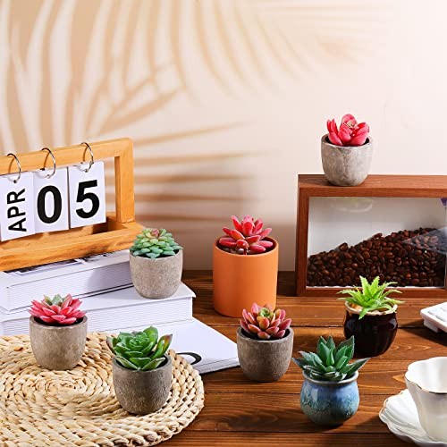 Pcs Bulk Mini Artificial Succulents Plants Assorted Unpotted 50 Normal Style