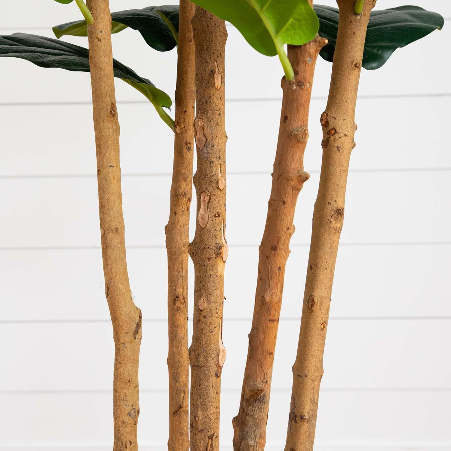 7Ft Artificial Fiddle Leaf Tree in Stylish White Planter –
