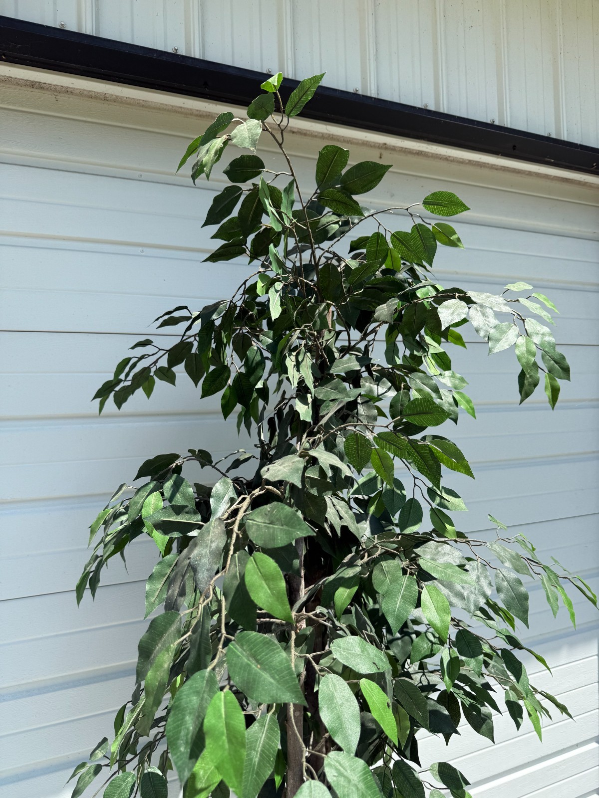 6.5 foot -Faux Ficus Tree In Roped-Style Handwoven Basket