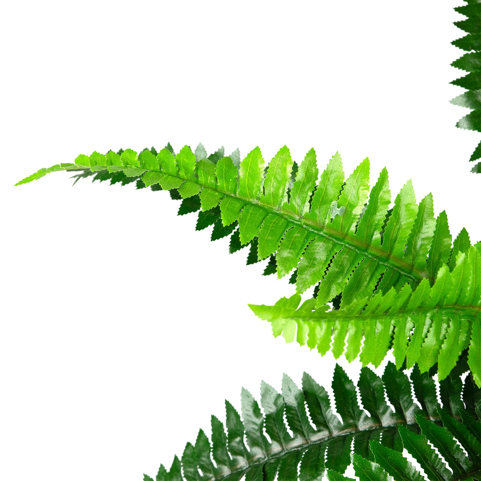 Northlight 15.75″ Potted Artificial Long Green Boston Fern Plant