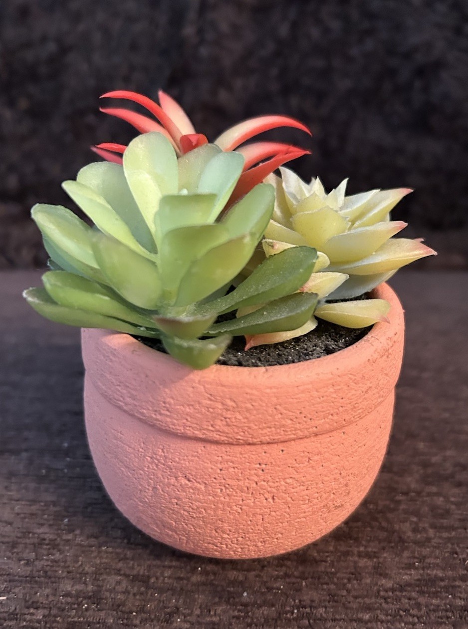 Small Artificial Succulent Plant Arrangement Terracotta -Style Pot Shelf-Window