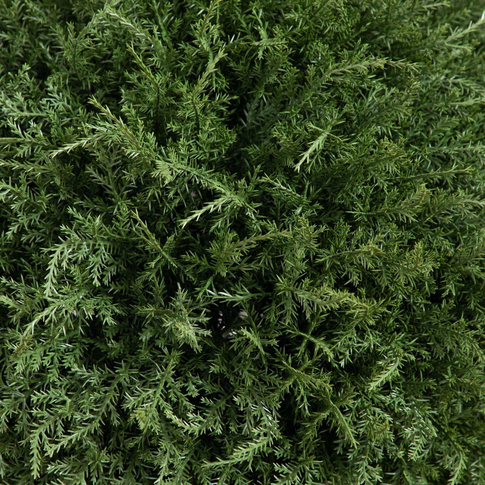 32” Topiary Cedar Ball Artificial Shrub Tree UV (Indoor/Outdoor). Retail $249