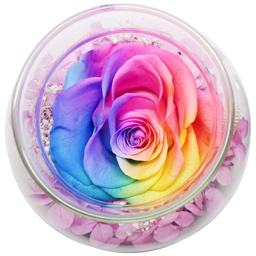 Preserved Real Roses with Colorful Mood Light Wishing Bottle,Eternal Rose，Nev…