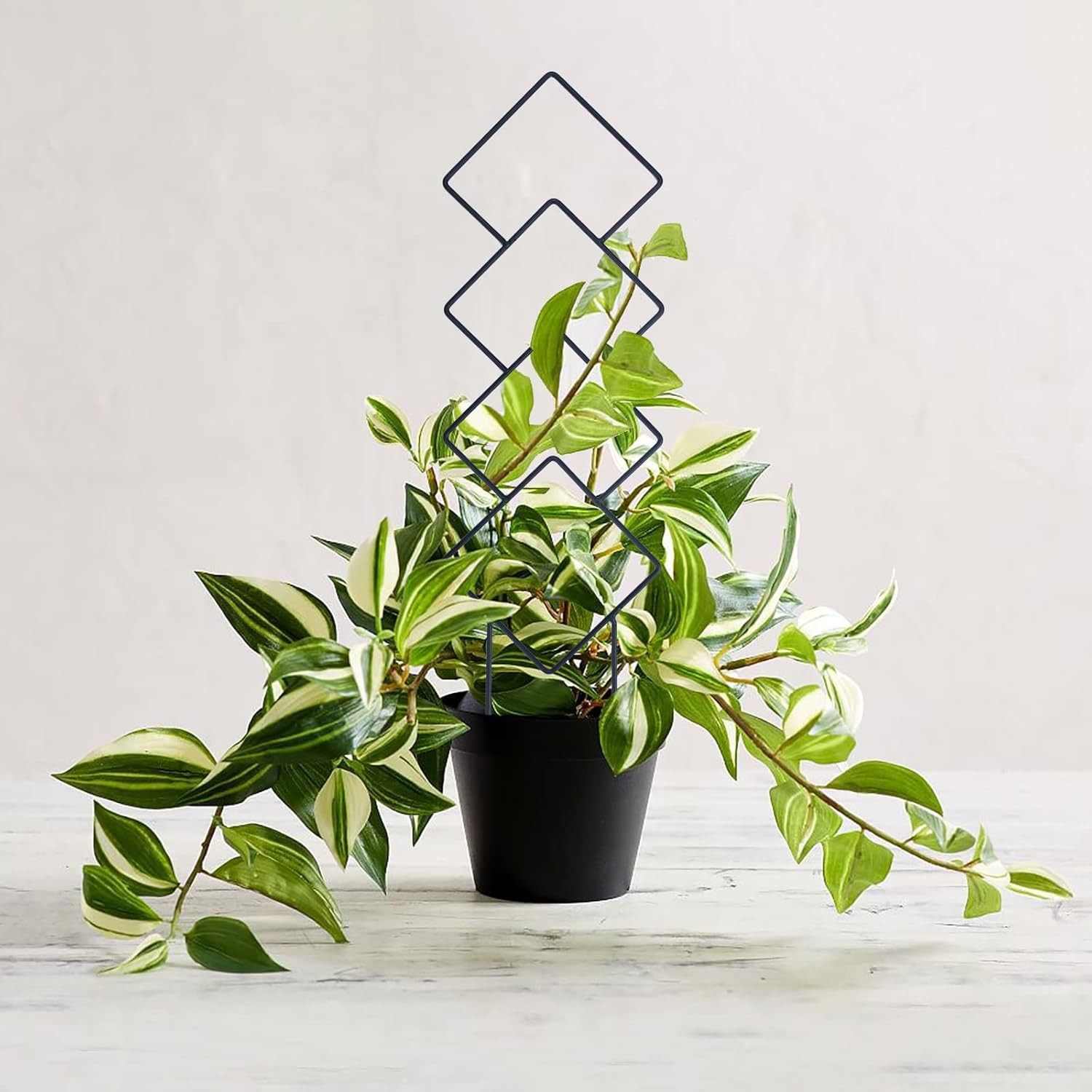 4PCS 16″ Indoor Outdoor Metal Plant Trellis for Climbing Vine Ivy