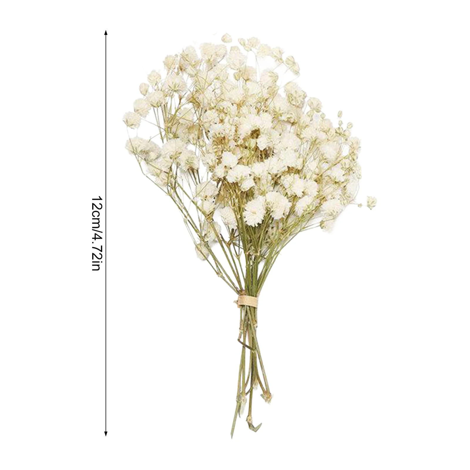 Preserved Mini Flower Bouquet with Baby’S Breath and Lover’S Grass for Home Wedd