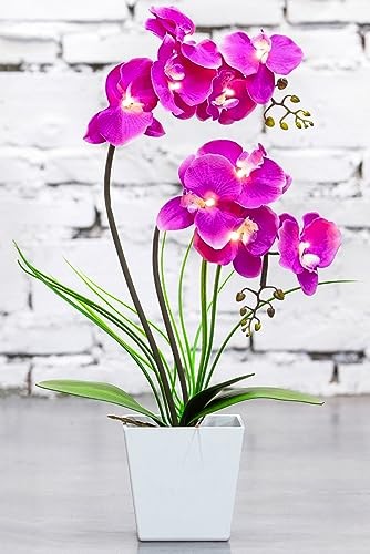 HOMESEASONS Pre-Lit Artificial Orchid Arrangement, LED Orchid Plant with 9