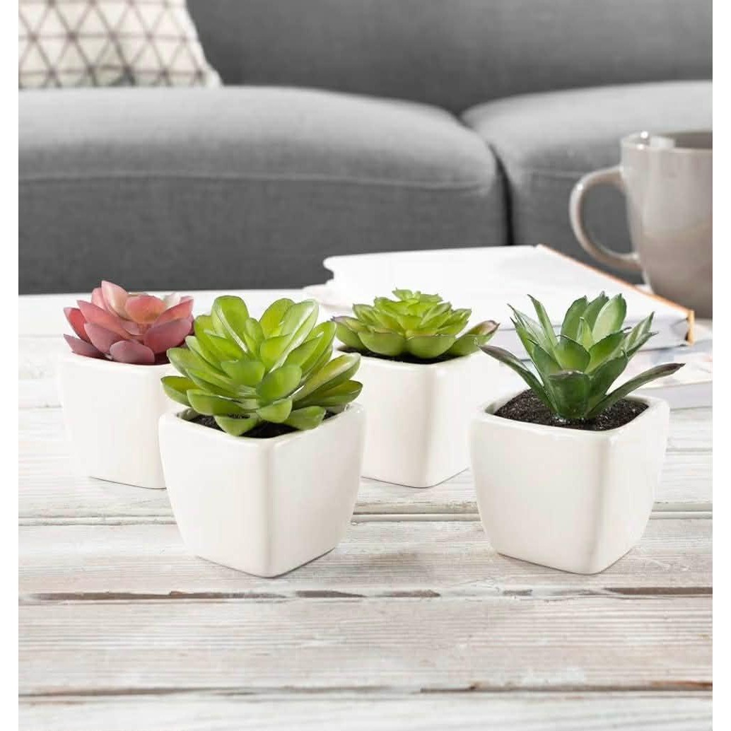 Pure Garden Faux Succulents in White Ceramic Pots Set of 4 Green