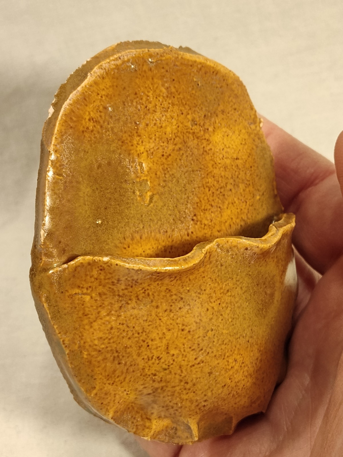 Hand Made Pottery Wall Pocket Brown Glaze For Dried Flowers