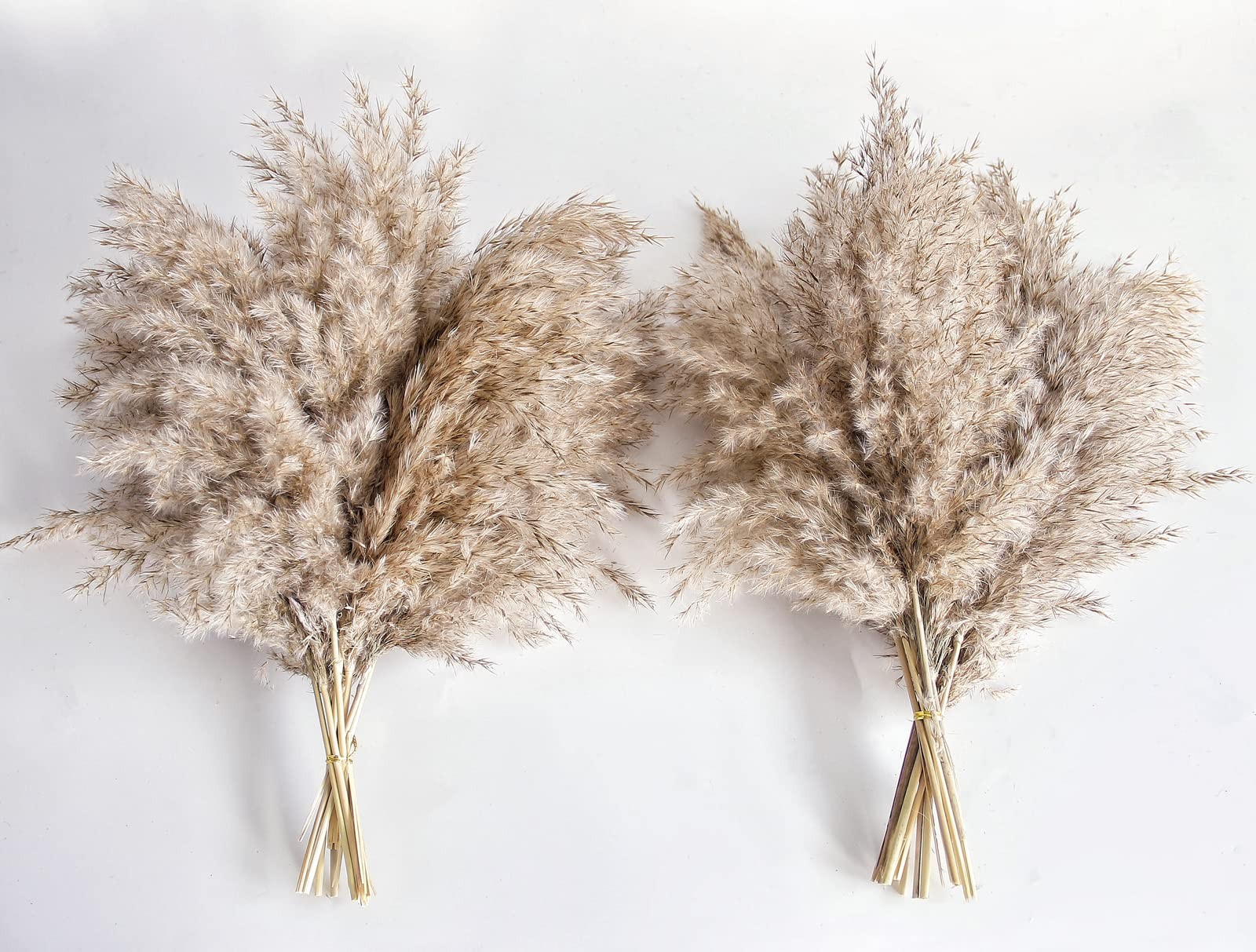 Pampas Grass Decor, Natural Dry Pampas Grass Small, Short Pampass Bulk for Fa…
