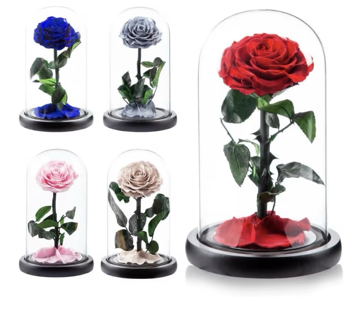 Haigivt Preserved Blue Rose Arrangement in Glass Dome 8.7″ x 5.5″ Floral Decor