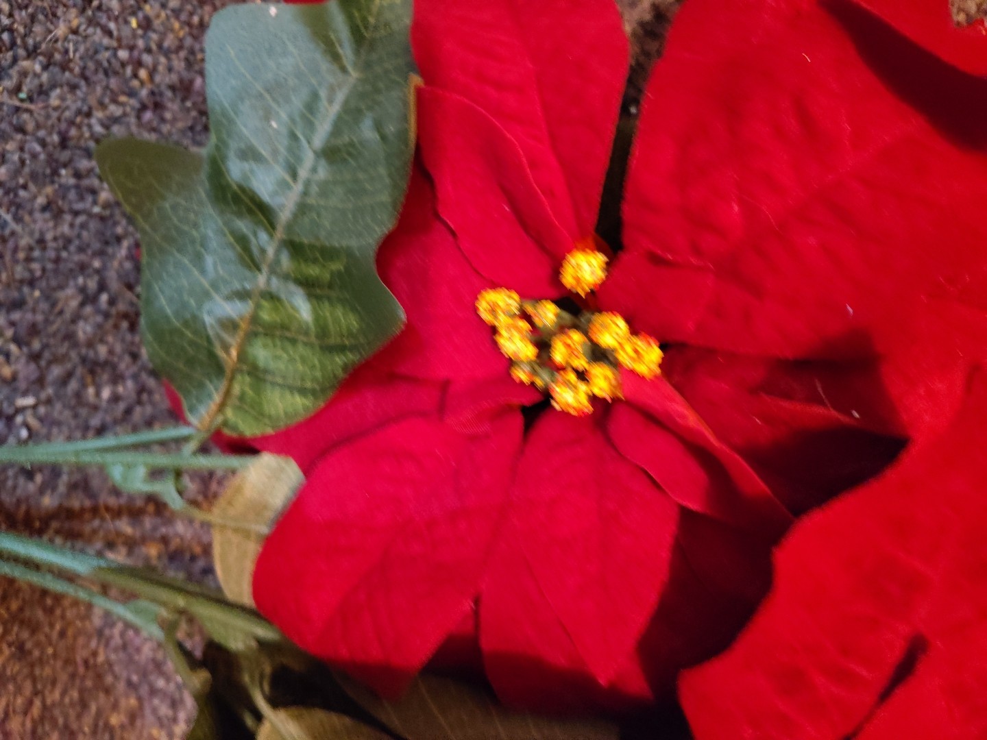 Artificial Poinsettia Deluxe Bushes 2 Bushes Christmas Flowers Burgundy