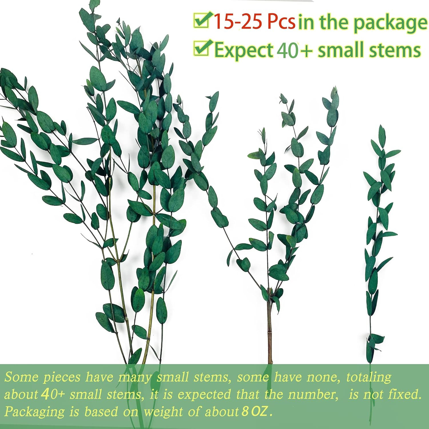 40+ Dried Eucalyptus Stems Real for Shower 15-25 PCS 17” 8OZ Preserved Fresh…