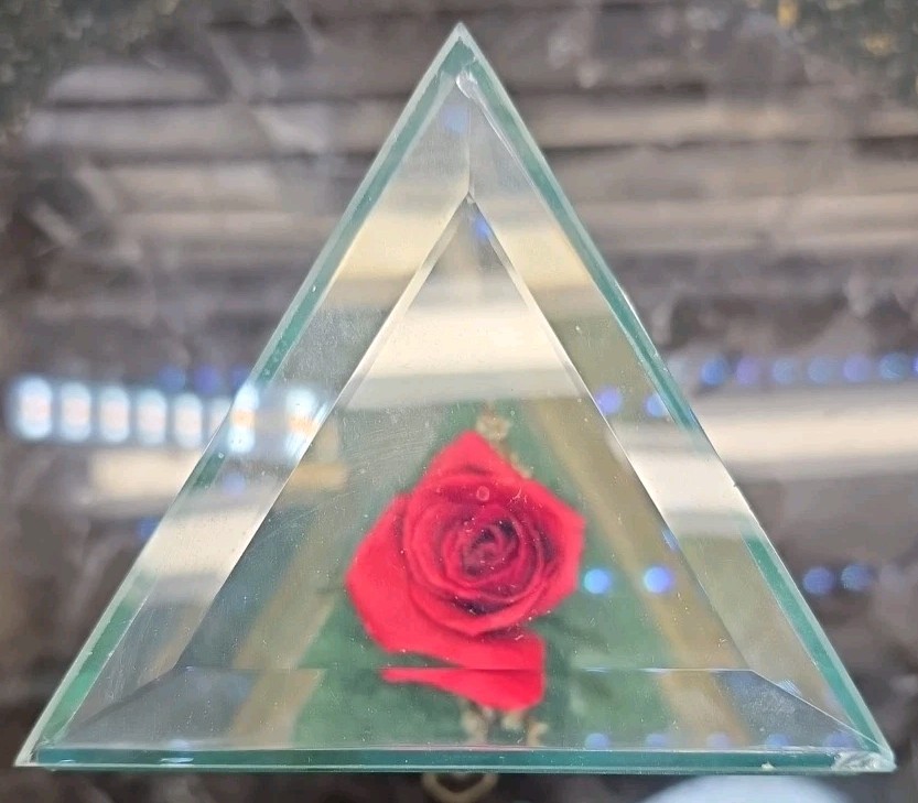 Lifesake Flowers Chesterseal Musical Real Rose Preserved In USA Glass Case