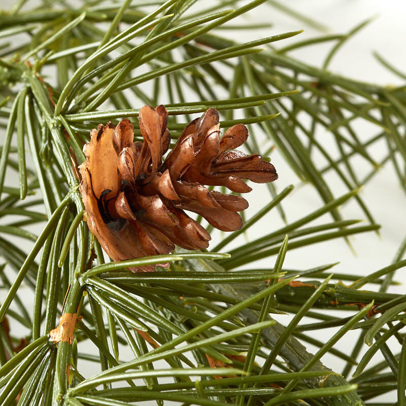 Realistic Look Weatherproof Wispy Pine 6 Foot Garland with Pinecone Accents