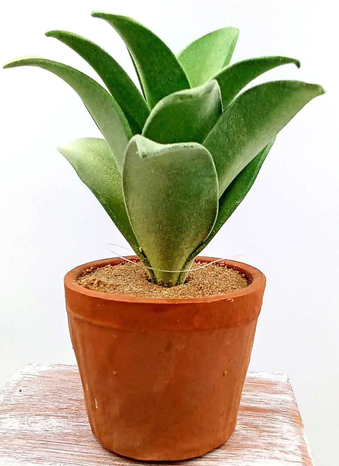 Succulent Clay Pot Planter Artificial Faux Dirt Foam Plastic Green Floral 7×2.5″