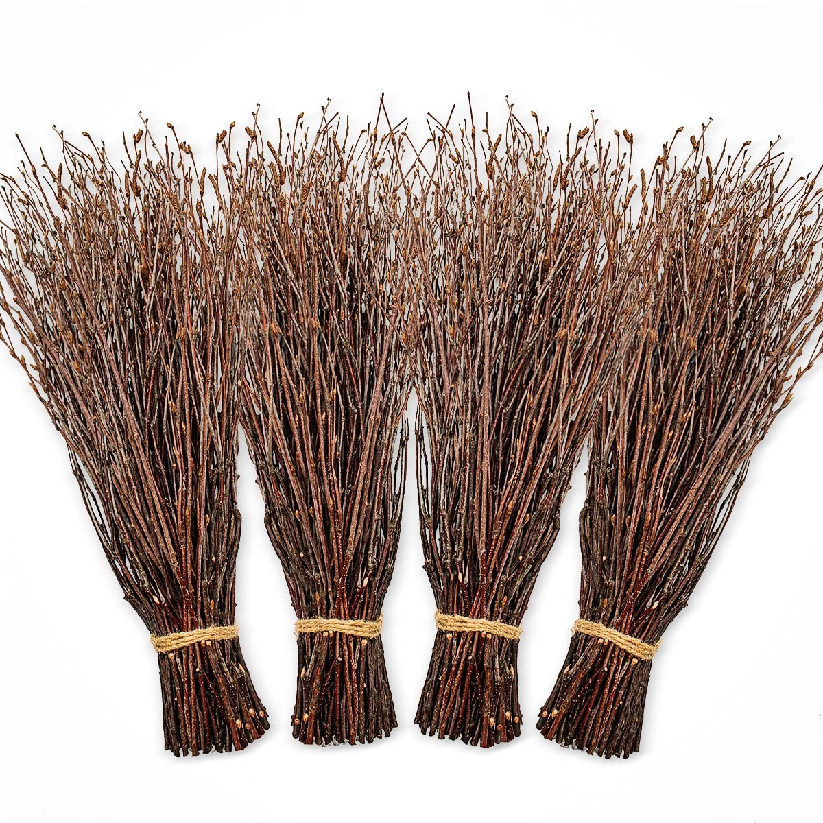 200pcs Birch Twigs 100% Natural Birch Branches for Decorating, DIY Crafts, Fl…