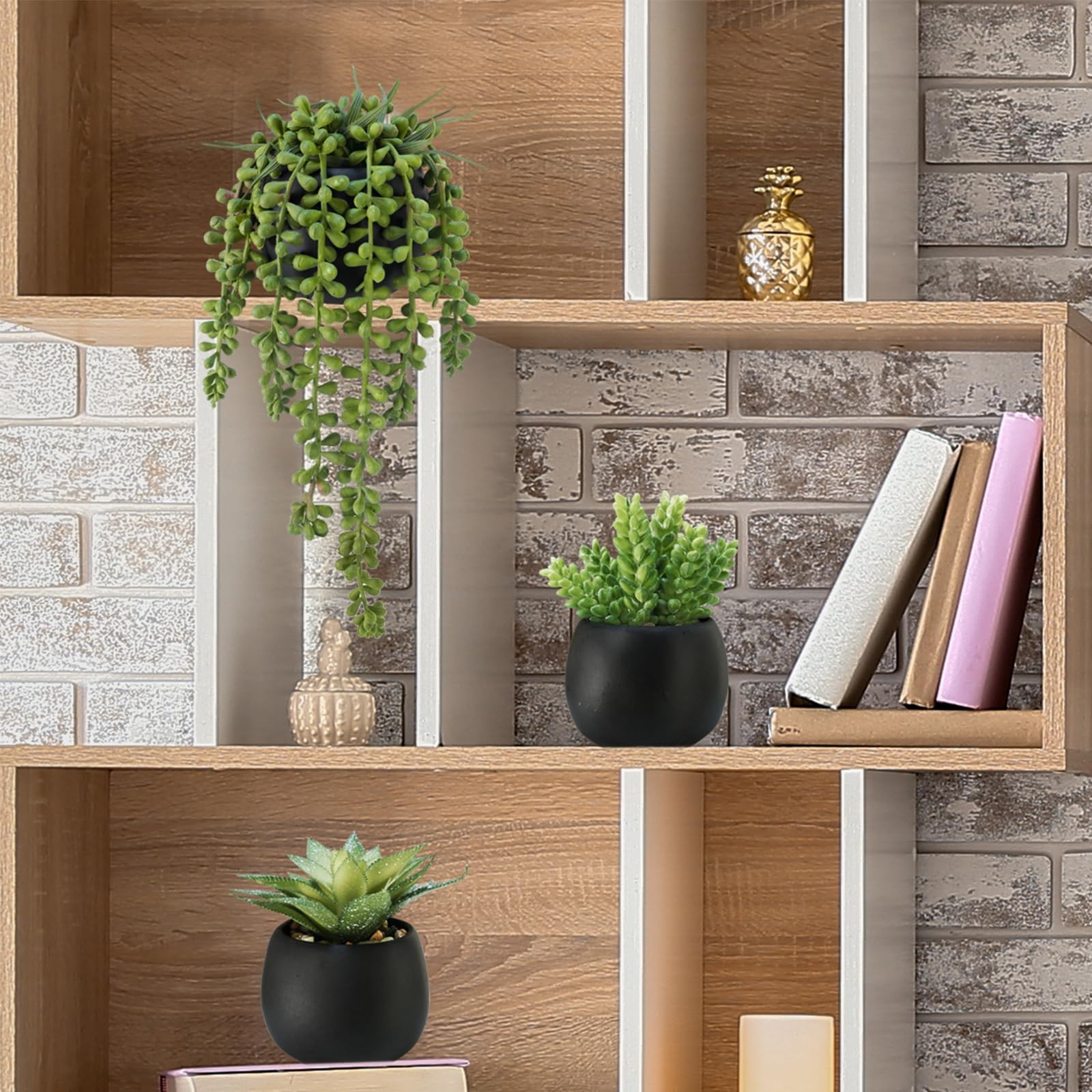 Set of 3 Artificial Succulents Plants in Black Cement Planters Faux Potted Pl…