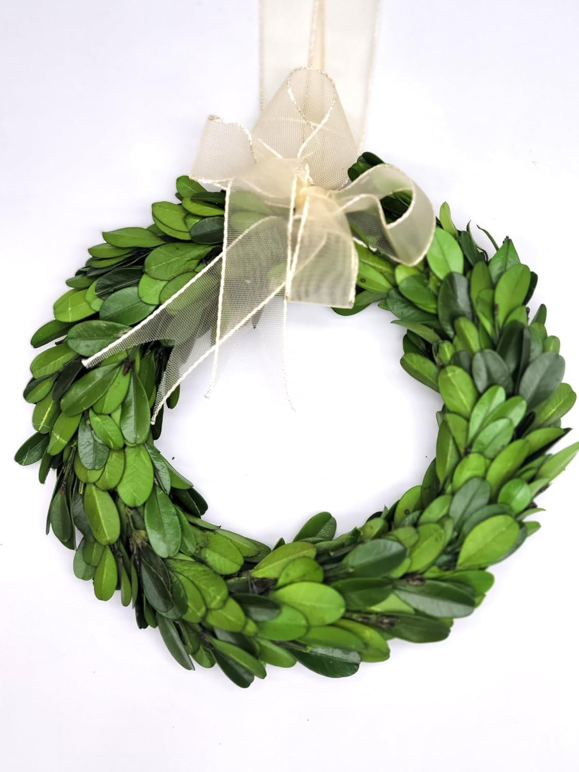 Preserved Boxwood Wreath 6 In