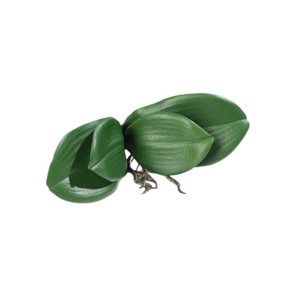 2pcs Simulated Phalaenopsis Orchid Leaves (PU Phalaenopsis Orchid Leaves)