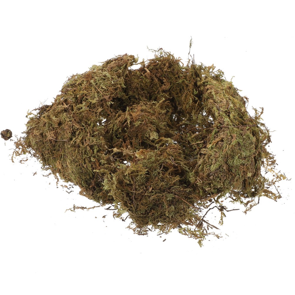 2 Packs Decorative Dried Moss for DIY Durable Green Moss for Gardening Bonsai