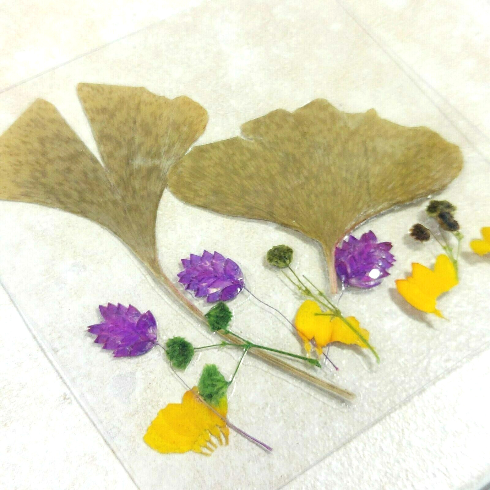 Dried Pressed Flowers Natural Flower Petal Set Resin Art Design Home Décor Gift