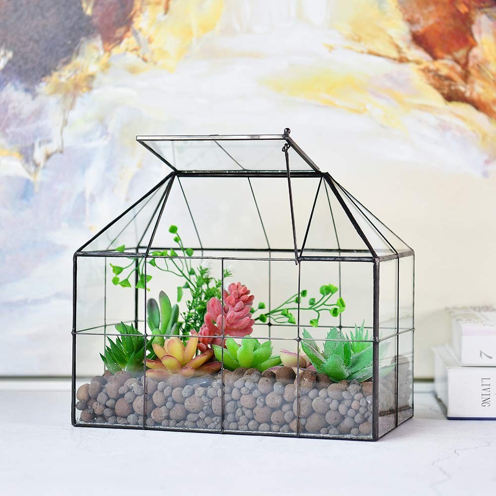 Large Glass Terrarium Planter – Succulent Greenhouse with Lid, 9.8″x7.9″x5.9