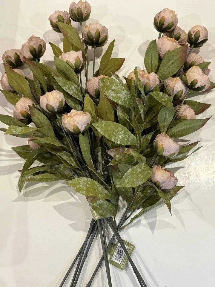 Viral Michael’s Ashland TAN Peony Stem YOU CHOOSE QUANTITY bundle save TIKTOK