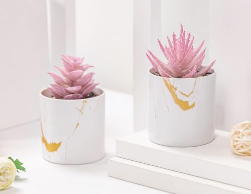 Set of 2 Succulents Plants Artificial Mini Fake Succulents Plants for Office