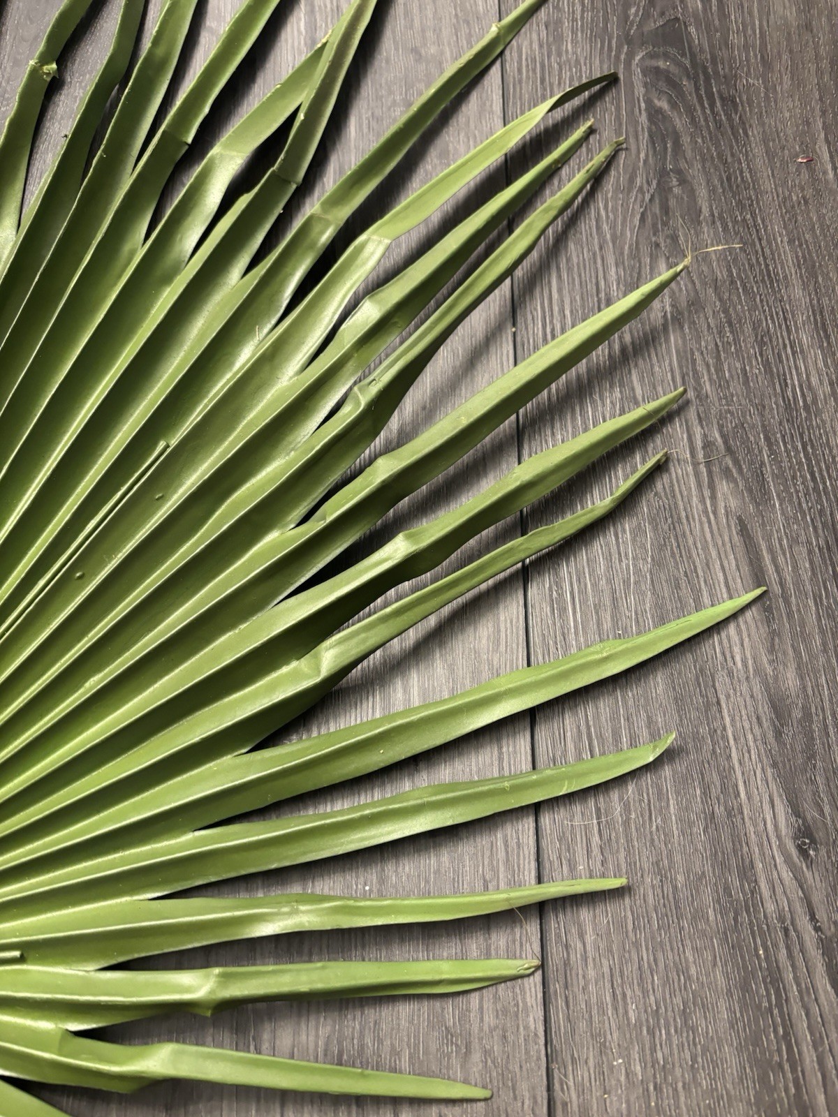 Large Fan Palm Leaf Stem 58” Tropical Boho Coastal Wedding Home Decor Prop