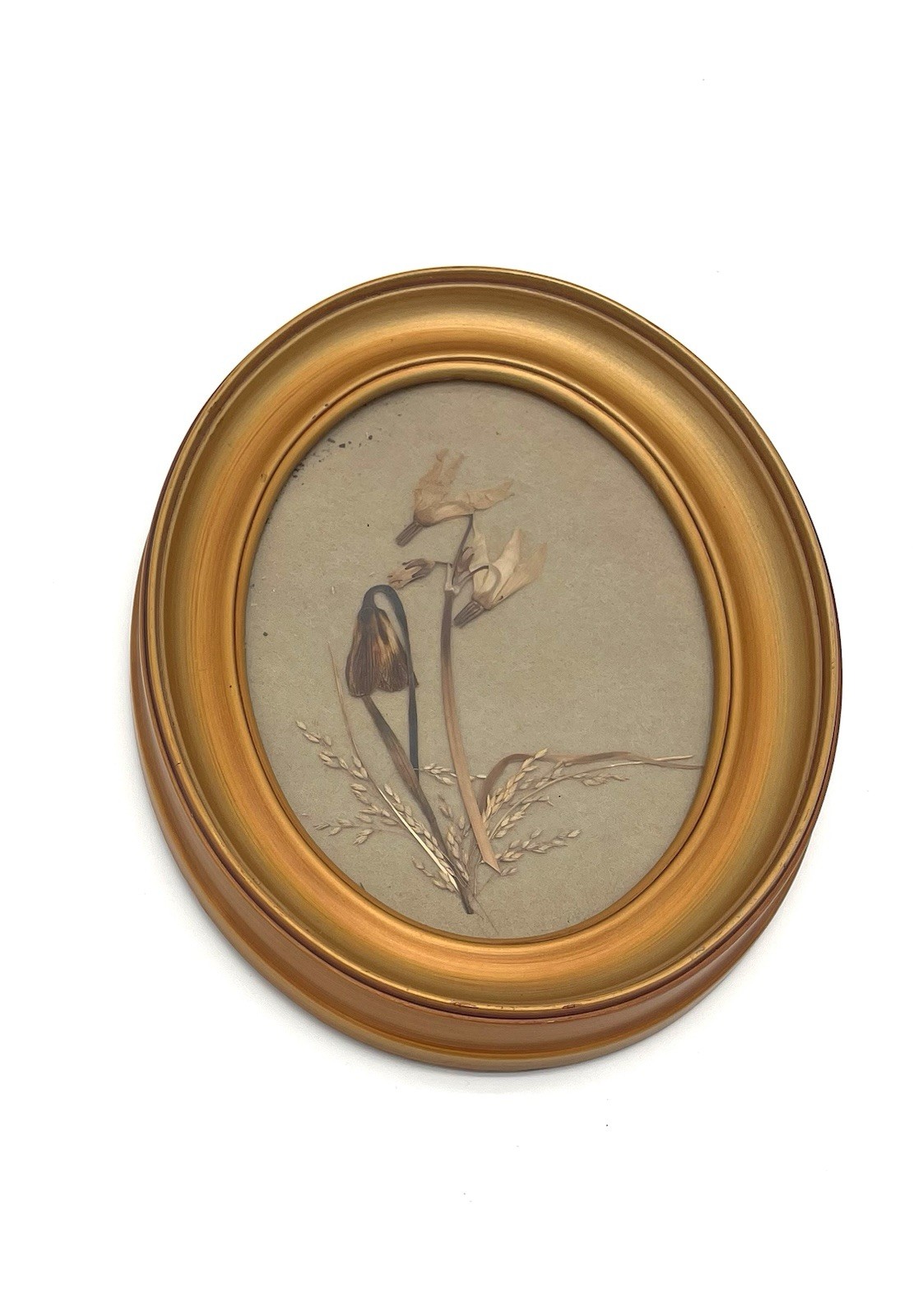 Vtg Dried/Pressed Flowers In Oval Frame Wall Hang Gold Frame 9”x7” Cottagecore