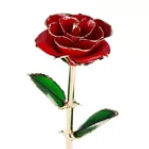 Mother’s Day Gift: 24K Gold-Dipped Real Eternal Rose – A Timeless Expression