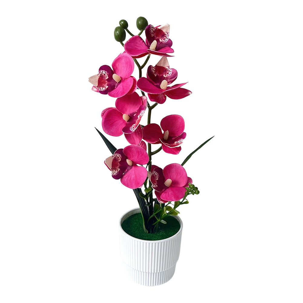 Potted Artificial Butterfly Orchid 12.2in/31cm White Dot Purple Pink White Red