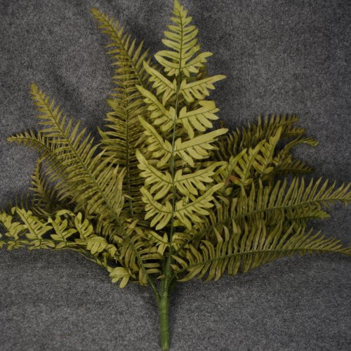 1 Piece Butterfly Boston Fern x36 Fronz 00300643