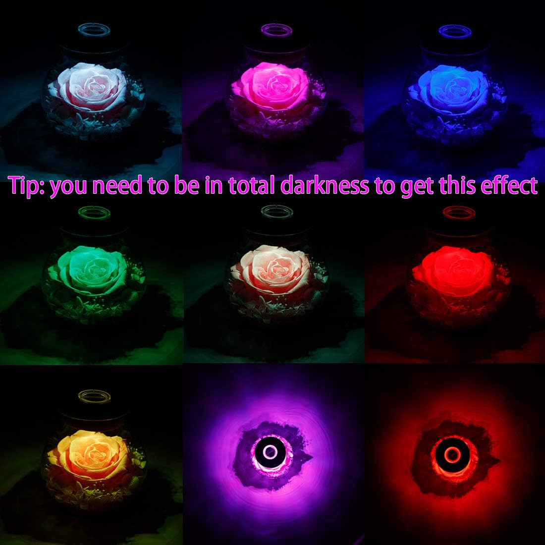 Preserved Real Roses with Colorful Mood Light Wishing Bottle, Eternal Rose，Never