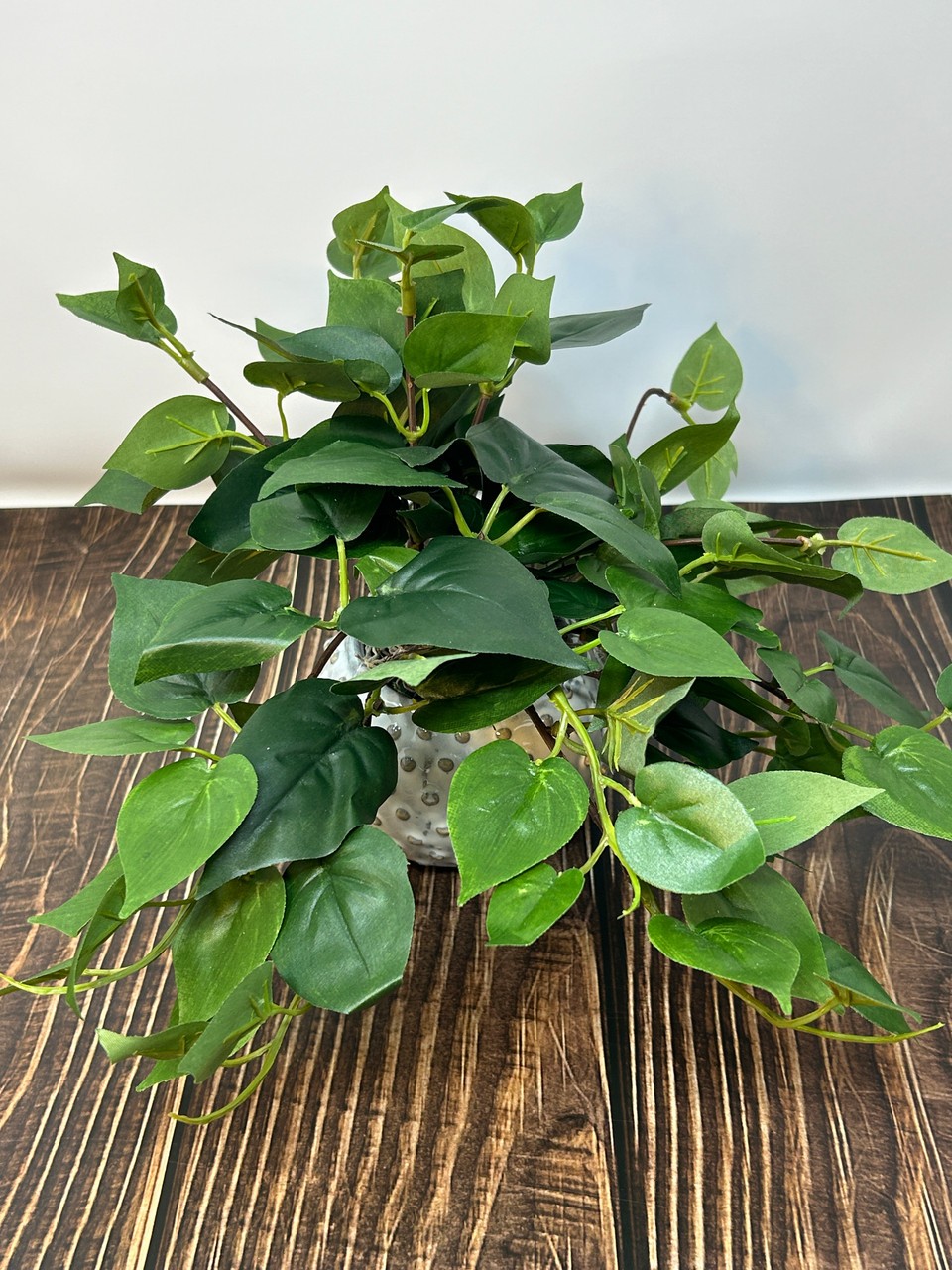 8″ Potted faux GREEN POTHOS Vine Silk plant, Cream Dot Ceramic pot