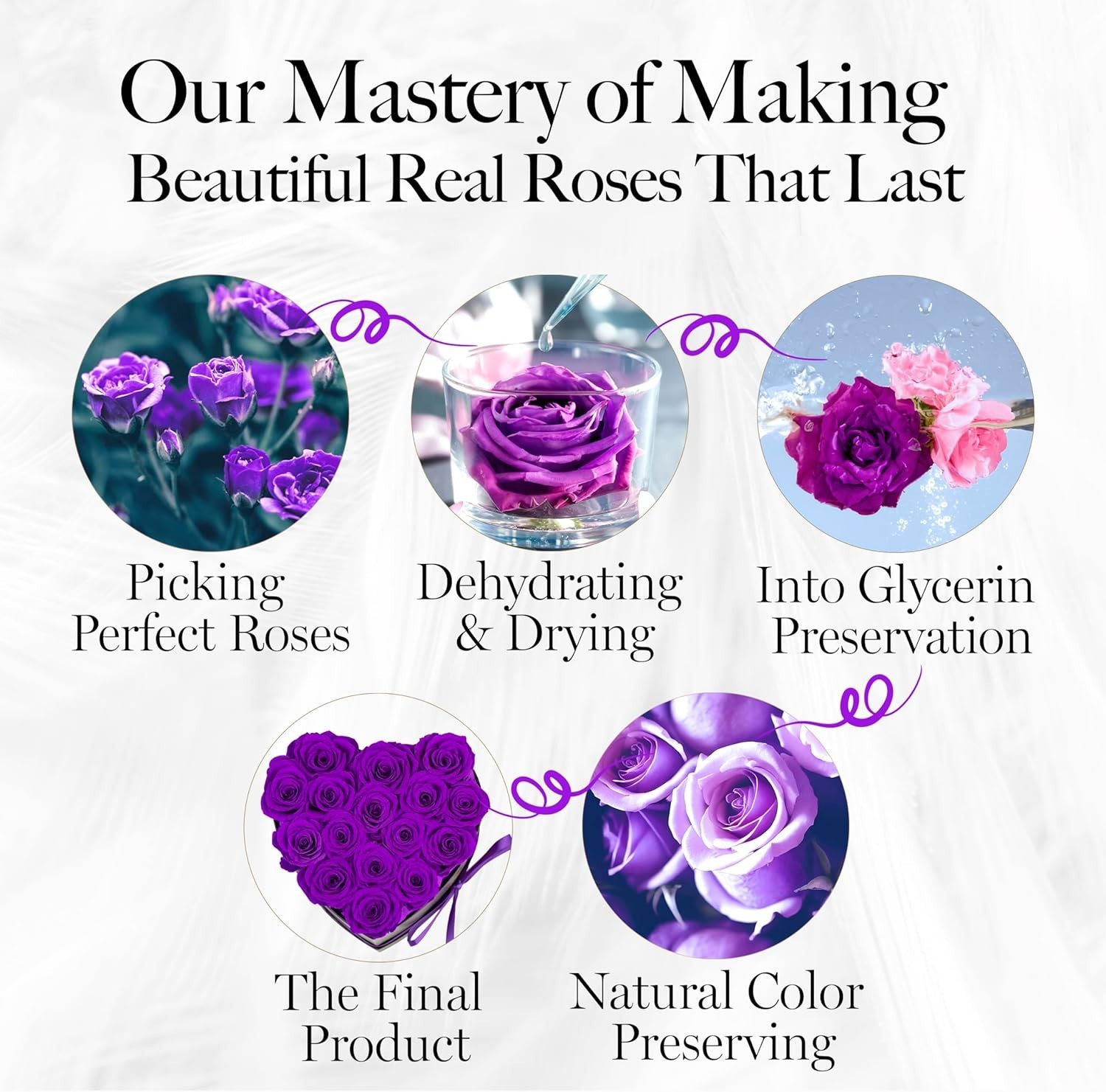 Heart-Shaped Floral Keepsake with 16 Everlasting Purple Roses – Ideal Gift