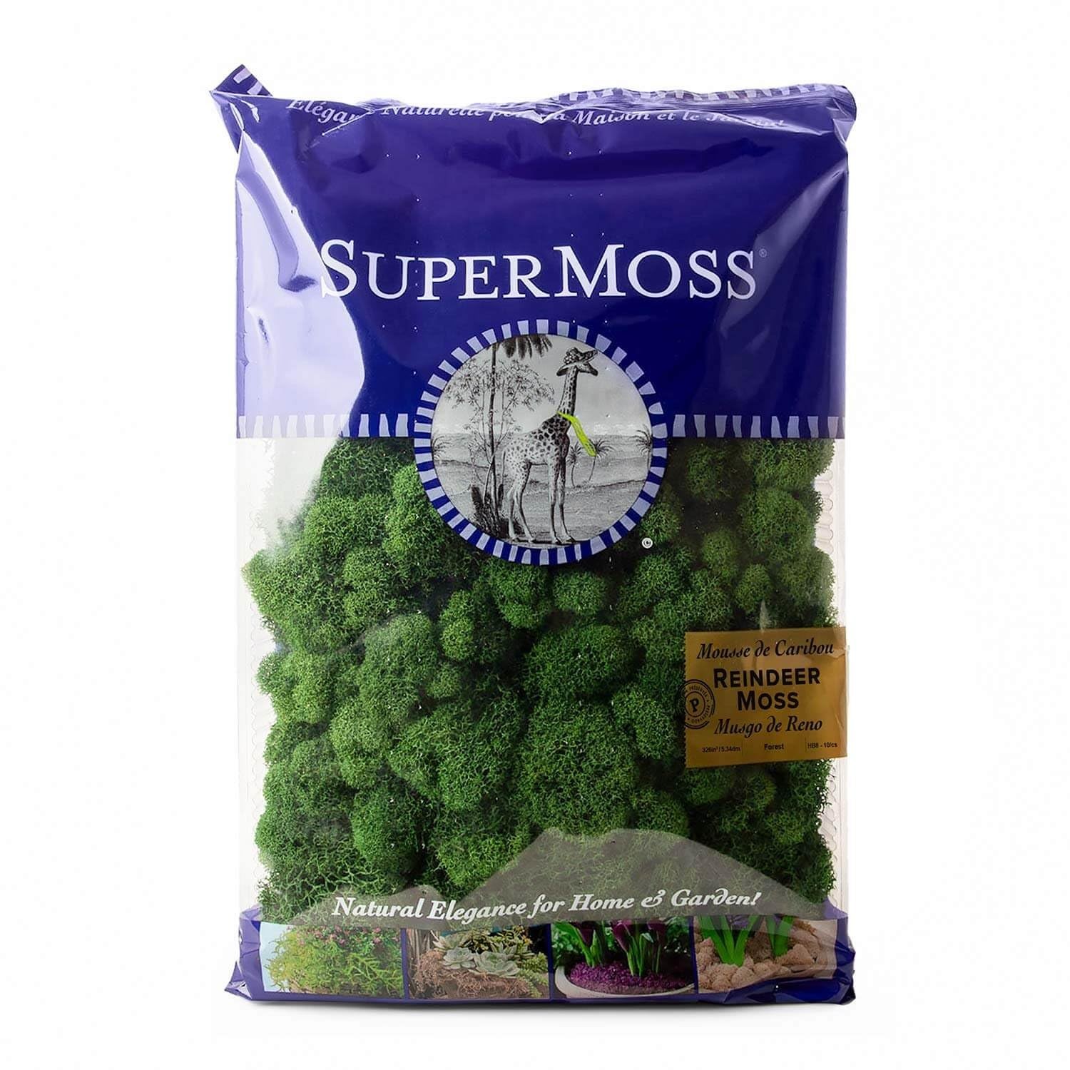 Preserved Reindeer Moss – Forest Green, 8oz (200 Cubic Inches) for Crafts & Deco