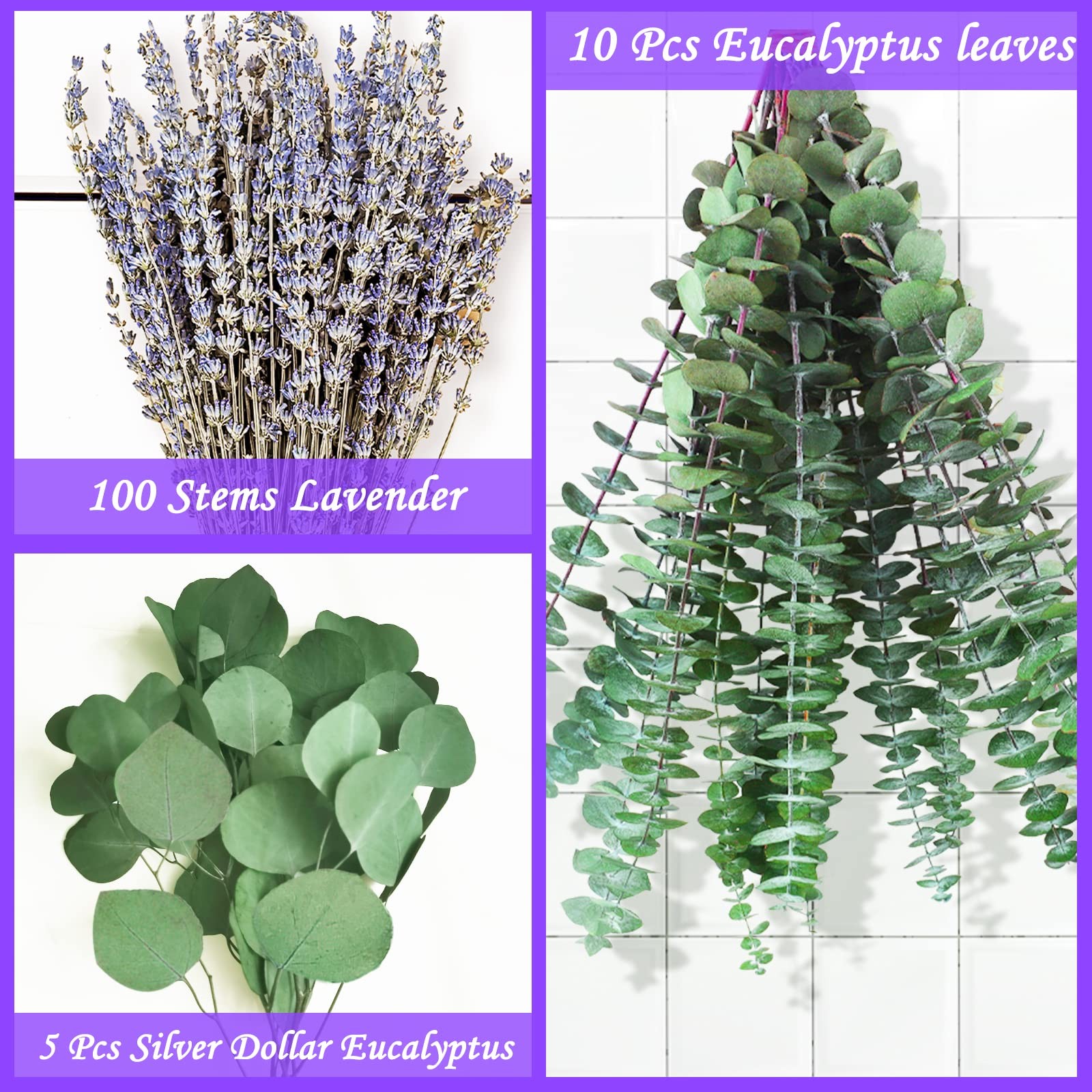 115 PCS Large Dried Preserved Eucalyptus Stems & Lavender Flowers Bundle for …
